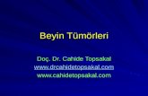Doc Dr Cahide Topsakal Beyin Tumorleri Sunumu
