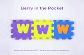 Atelier webschool Bourges - Berry in the pocket