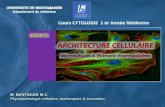 Cours  larchitecture cell micro t & fil p2