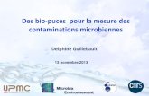 Des bio-puces pour la mesure des contaminations microbiennes. Outils de mesure des contaminants des milieux lagunaires et marins.
