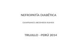 Nefropatía diabética 2014