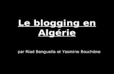 Le Blogging En  Algérie