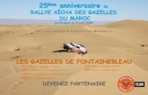 Rallye des Gazelles 2015- Les Gazelles de Fontainebleau équipage 177