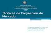 Técnicas de proyección de mercado (Equipo Chile)