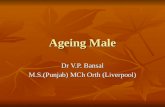 Ageing male