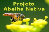 Apresentação abelha Nativa