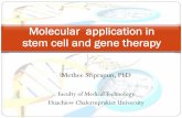 Stem cell and gene therapy