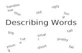 Describing words
