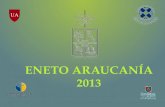 ENETO Araucanía 2013 - ETOUCH