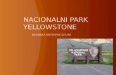 Nacionalni park yellowstone