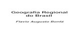 Geografia Regional do Brasil   flavio augusto bonfá