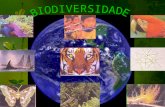 03 biodiversidade ii