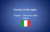 Gamba & Benaglio