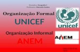 Organização Formal (UNICEF) e Informal (ANEM)