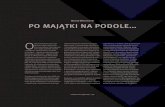 Michał Wiśniewski, Po majątki na Podole..., Przestrzenie kolonialne