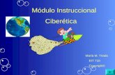 Modulo Instruccional CiberéTica