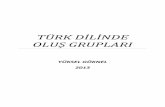 Türk Dilinde Oluş Grupları Yüksel Göknel