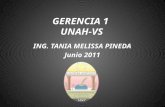 C:\Users\Tania Pineda\Documents\Unah Vs Infomatica\Info Gerencia 1\Proyecto Para Exposicion Gerencia 1