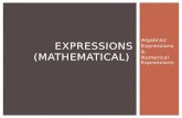 Expressions (mathematical)