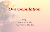 Overpopulation over the world