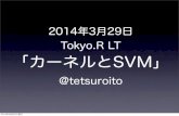 20140329 tokyo r lt 「カーネルとsvm」