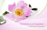 floristeria Las Orquideas