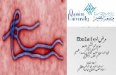Ebola disease مرض ايبولا