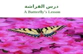 A Butterfly’S Lesson In Arabic درس الفراشة رائع