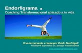 Endorfigrama: Herramienta de Coaching Transformacional (Pablo Nachtigall- psicólogo)