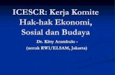 ICESCR: Kerja Komite Hak-hak Ekonomi, Sosial dan Budaya Presentasi oleh: Dr. Kitty Arambulo
