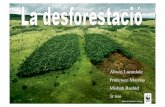 Impactes ambientals: la desforestació