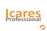 Icares Professional Overview bg