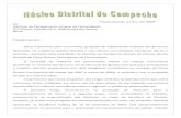 Comunidade   diretrizes 2009 - relatorio-rebatimento-mapa-plano-diretor-planicie-campeche-27junho2009