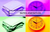 04 Inteligencija