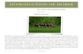 Introduction of horse