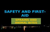 Safety and first aid