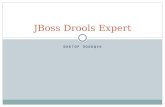 Jboss drools expert (ru)