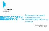 Возможности нового SEO-модуля для продвижения сайтов на Prom.ua, 10.09.2013