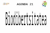 Diapositivas agenda 21