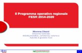 Emilia Romagna Smart Specialization Strategy - Fondi SIE 2014-2020