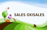Exposicion sales oxisales