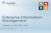 SolidQ Business Analytics Day | Enterprise Information Management