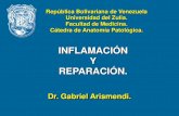 Clase de inflamación 2013. Dr. Gabriel Arismendi