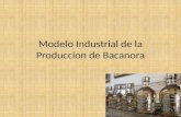 Modelo industrial de la produccion de bacanora