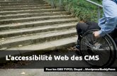 RMLL 2011 - L'accessibilité Web des CMS
