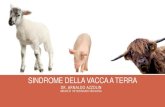 6 20130413 sindrome_della_vacca_a_terra-.-arnaldo_azzolin