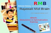Rajawali Midbrain Indonesia I RMB I 087880003456 I pin BB 28C39747