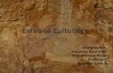 Estadios Culturales América Precolombina
