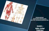 Pengantar anatomi histologi sistem muskuloskeletal