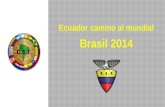 Tributo a Ecuador en el Mundial Brasil 2014